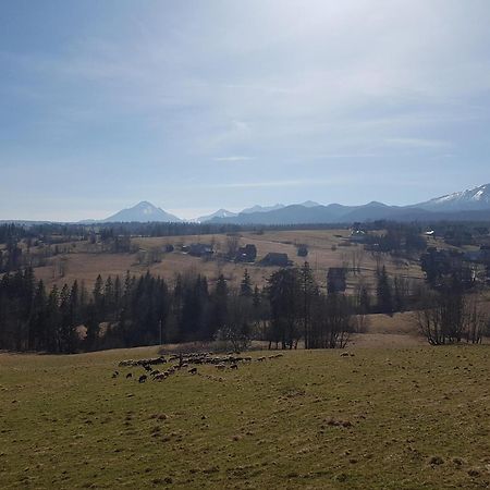 Villa Dorota Zakopane Esterno foto