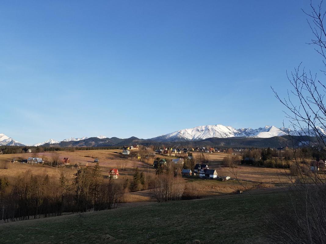 Villa Dorota Zakopane Esterno foto